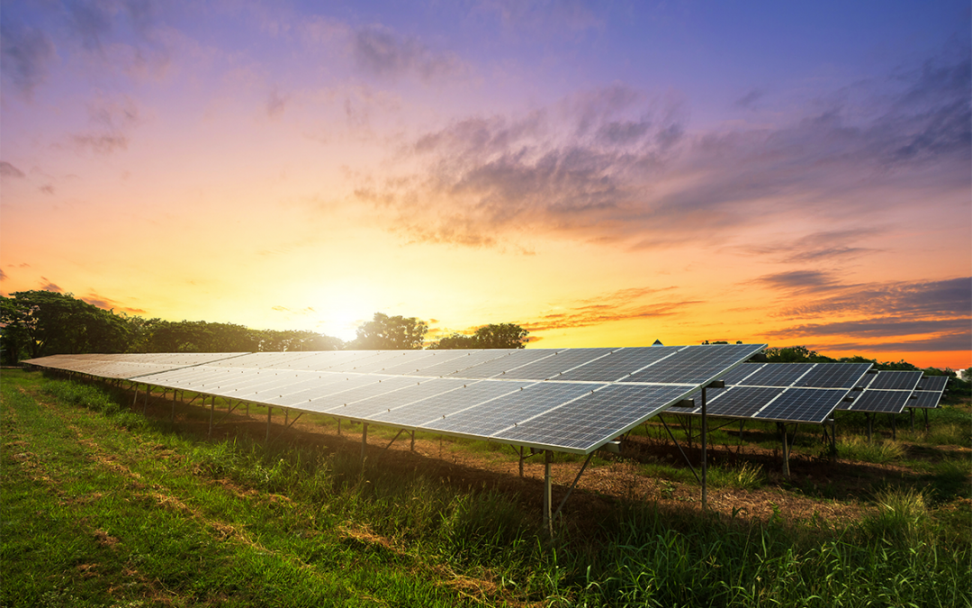 Energia Solar ganhará novo impulso no campo com mais recursos do Plano Safra 2020-2021: recursos em energia solar para o campo
