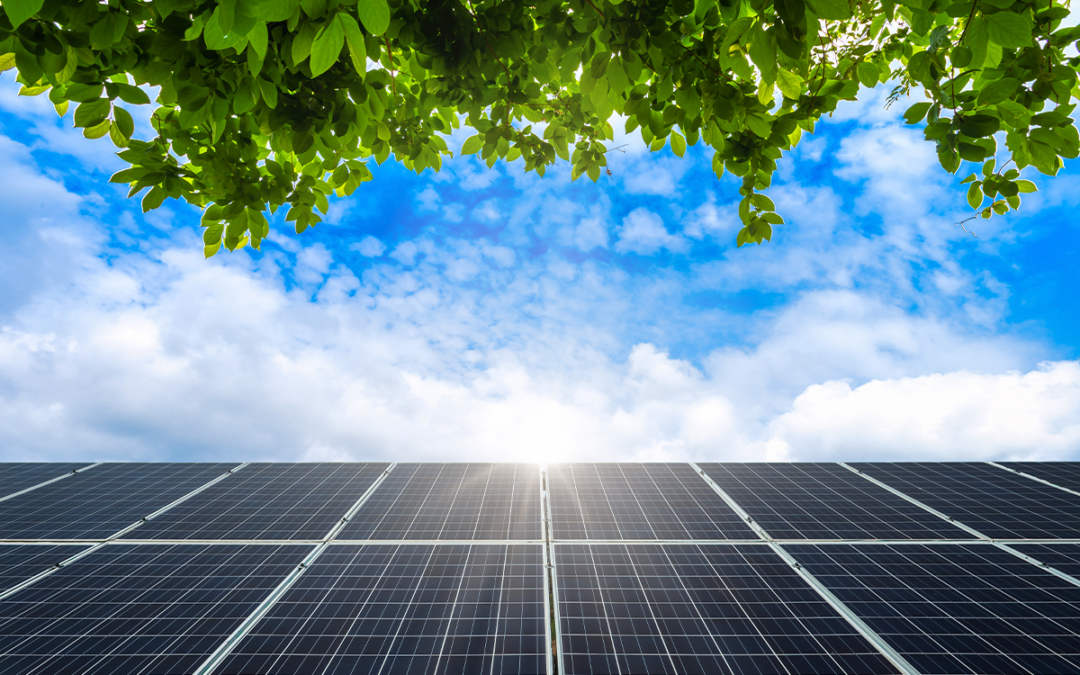 Créditos de carbono e sua relação com a energia solar